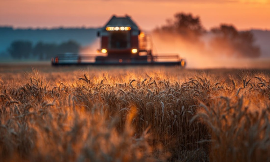 Мельницы плющилки с элеватором и упаковщиком в рукава