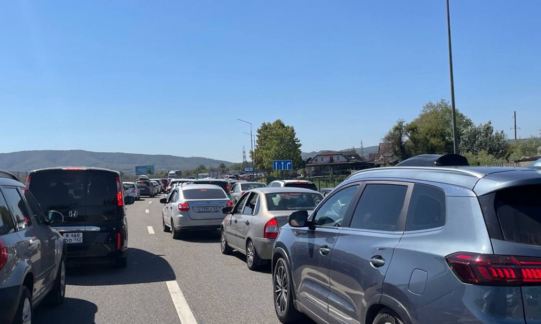 В 1,5 раза выросла выдача водительских удостоверений в 2025 году на Кубани